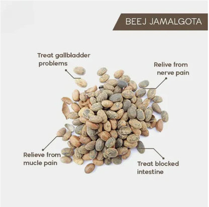 🌿 Jamalgota Ayurvedic Hair Growth Powder Buy 1 Get 1 Free✅